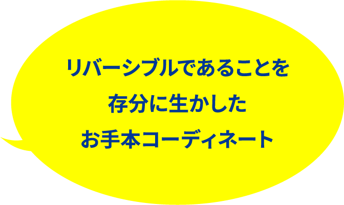 ���o�[�V�u���ł��邱�Ƃ𑶕��ɐ�����������{�R�[�f�B�l�[�g