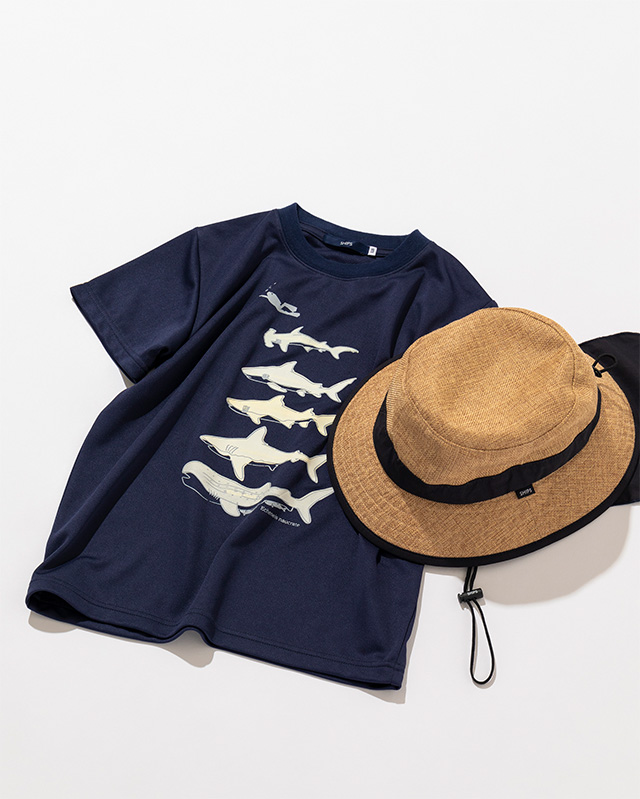 ���B��A�C�e���摜