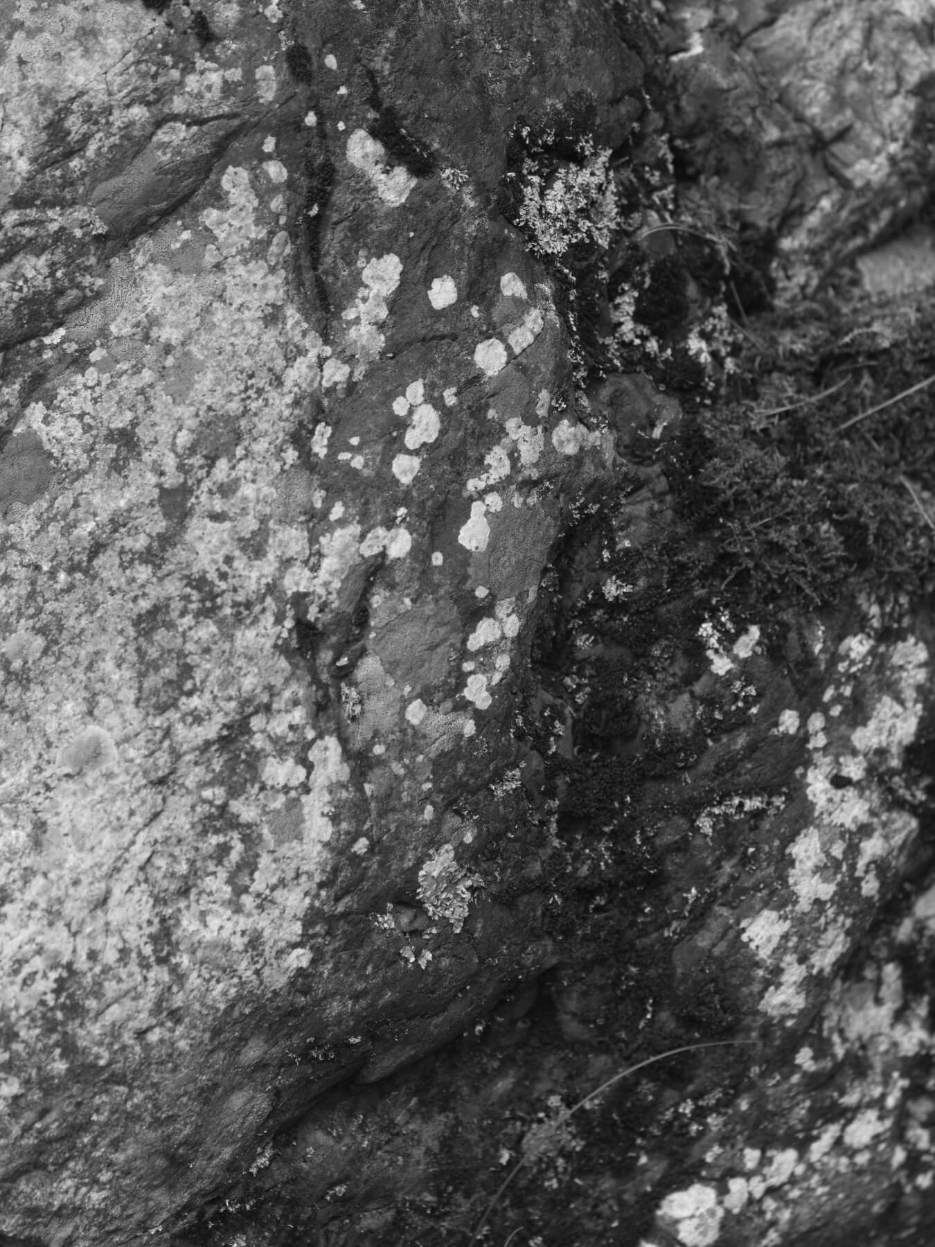 SHIPS for MEN 2024 Winter �b Neutral Clothing that Belong to Nature