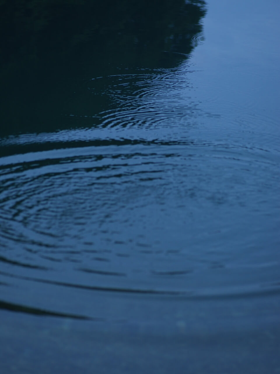 SHIPS for MEN 2025 Autumn | Sailinf