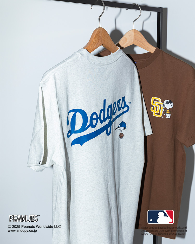 2025NtẴqbgACe\Iꂽ̃LOTOP10