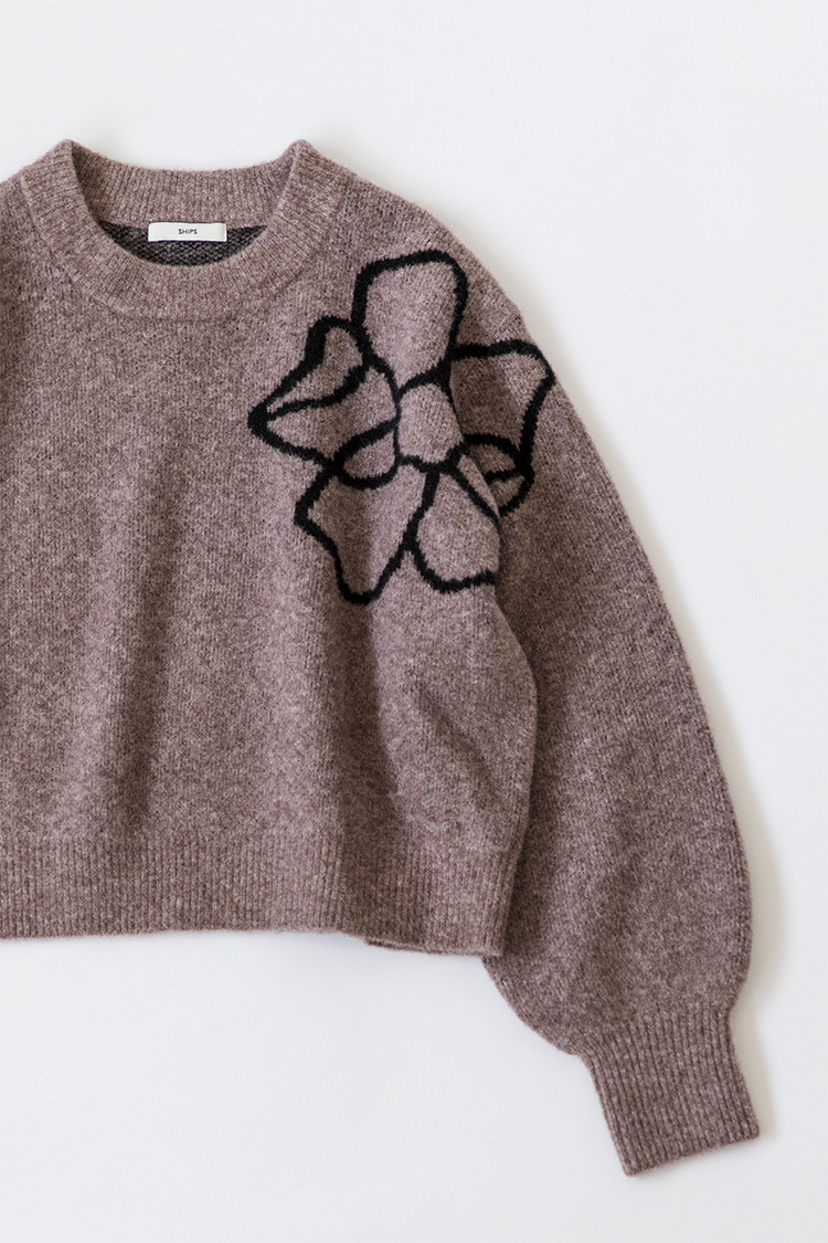 2025-26 Winter ƂẴjbg}