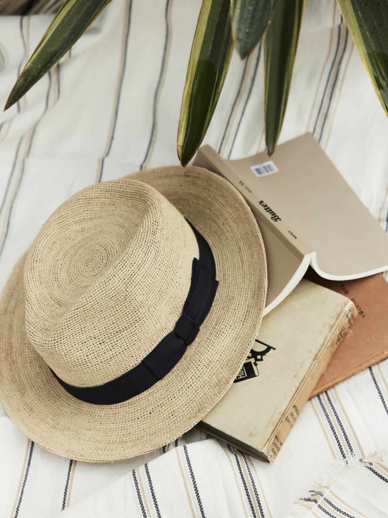 SHIPS for MEN 2025 Summer | Sailinf