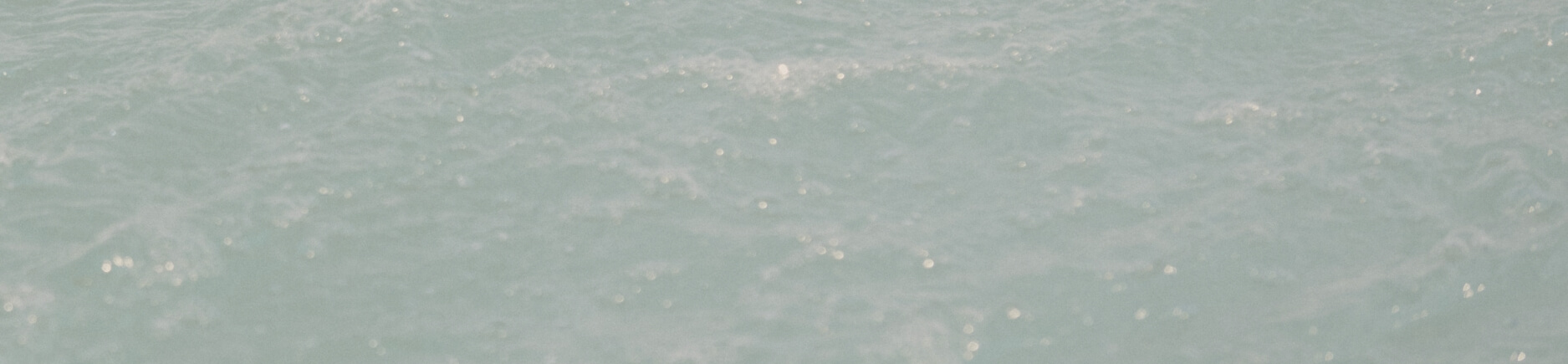 SHIPS for WOMEN 2025 Summer | Attractive Ordinary