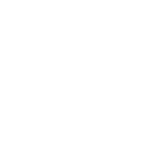 Akane Hotta Collaboration with SHIPS LIMITE COLLECTION