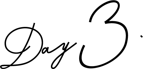 Day 3