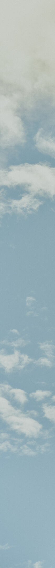 >SHIPS for WOMEN 2026 Spring | TOUGH Romantic