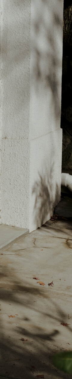 >SHIPS for WOMEN 2026 Spring | TOUGH Romantic