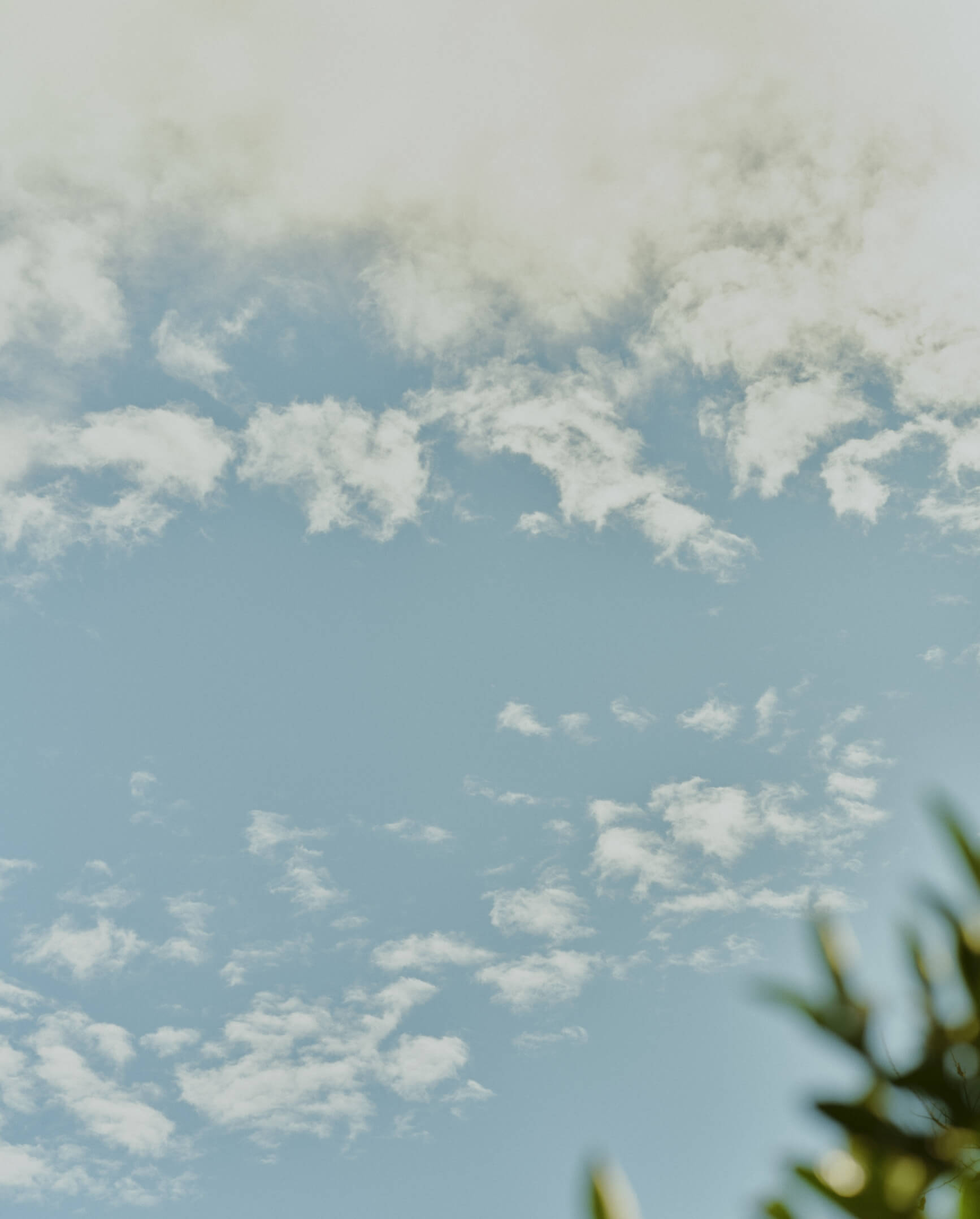 >SHIPS for WOMEN 2026 Summer�b TOUGH Romantic