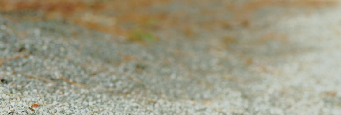 >SHIPS for WOMEN 2026 Summer �b TOUGH Romantic