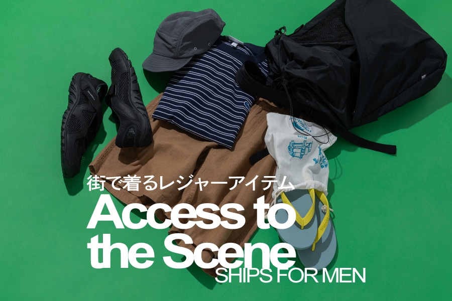 Access to the Scene �X�Œ��郌�W���[�A�C�e��