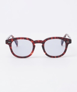 SHIPS EYEWEAR: WELLINGTON S/G EGg TOX
