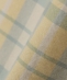 WYTHE NEW YORK: OX CHECK PEARLSNAP SHIRT