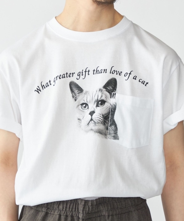 WEB限定/SHIPS別注】Regency Works: キャット ポケット Tシャツ