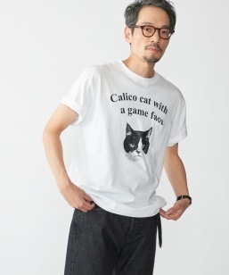 �yWEB����/SHIPS�ʒ��zRegency Works: �L���b�g �|�P�b�g T�V���c