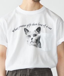 yWEB/SHIPSʒzRegency Works: Lbg |Pbg TVc