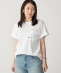 �yWEB����zSHIPS: W�}�C�N��SHIPS���S �|�P�b�g T�V���c