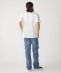 �yWEB����zSHIPS: W�}�C�N��SHIPS���S �|�P�b�g T�V���c
