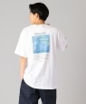 SHIPS: CLAUDE MONET アート プリント Tシャツ ナチュラル