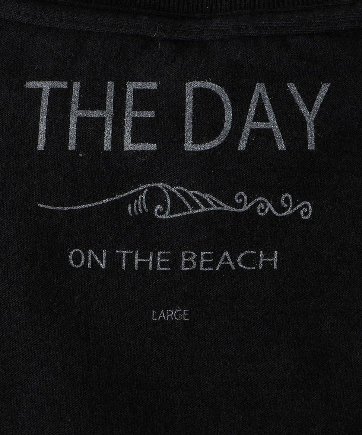 THE DAY ON THE BEACH
