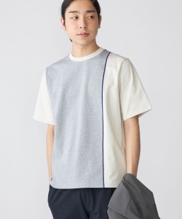 SHIPS: �X�C�b�` �p�l�� T�V���c