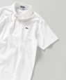 【WEB限定/SHIPS別注】LACOSTE: ピケ ボタンダウン ポロシャツ ホワイト
