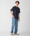 �yWEB����zSHIPS: STYLISH STANDARD ���S �h�J T�V���c