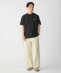 �yWEB����zSHIPS: STYLISH STANDARD ���S �h�J T�V���c