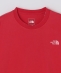 THE NORTH FACE: GAR TYPOGRAPHIC COLORED SHORT SLEEVE
