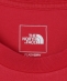THE NORTH FACE: GAR TYPOGRAPHIC COLORED SHORT SLEEVE