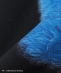 �yCity Ambient Products�ʒ��z: SESAME STREET T�V���c