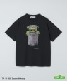 �yCity Ambient Products�ʒ��z: SESAME STREET T�V���c �_�[�N�O���[