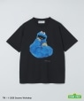 �yCity Ambient Products�ʒ��z: SESAME STREET T�V���c �u���b�N