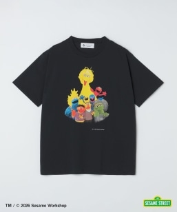 �yCity Ambient Products�ʒ��z: SESAME STREET T�V���c