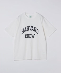 SHIPS: IVY TVc by DISCUS