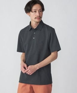 yWEBzSHIPS: zEUVPA DrymixiRj|CgS M[J[ |Vc