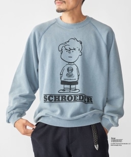 ySHIPSʒzAIRTOWNE: s[ibc Be[W XEFbg