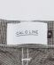 CAL O LINE: 2^bN l vCh pc