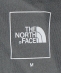 THE NORTH FACE: GAR FADED BAGGY PANT