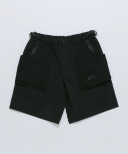 PURPLE MOUNTAIN OBSERVATORY: PROCYON SHORT