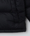 THE NORTH FACE: Nuptse Jacket/kvV WPbg 25AW
