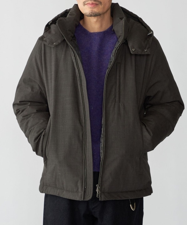 SHIPS: ~bg(R) E[ × ͓c_E WPbg