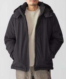 SHIPS: ~bg(R) E[ × ͓c_E WPbg