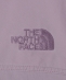 THE NORTH FACE: GAR FADED SOFTSHELL VEST