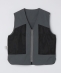 PURPLE MOUNTAIN OBSERVATORY: PROCYON VEST