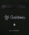 Goldwin: Trajectory Back/Pk VST