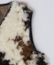 City Ambient Products: �t�@�[ �W�b�v �x�X�g