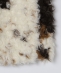 City Ambient Products: �t�@�[ �W�b�v �x�X�g