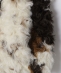 City Ambient Products: �t�@�[ �W�b�v �x�X�g