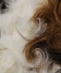 City Ambient Products: �t�@�[ �W�b�v �x�X�g